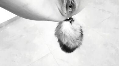 Suspended kitten gets double penetrated squealing in homemade rope bondage