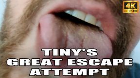 KingMarti : Tinys Great Escape Attempt - Giant Vore - 4k UHD 2160p