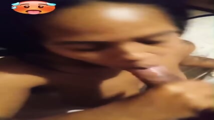 Tatted Latina Mulatto Suck Cock And Fucked Cumshot Ending