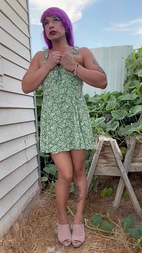 The Dirty Secret Garden