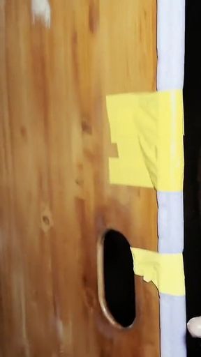 German Pig Tag Teamed in Darkroom