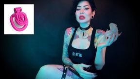 Wear the clitty chastity for a month, let's shrink your leftover shrimp - LOCKTOBER, SPH , SHRINKING