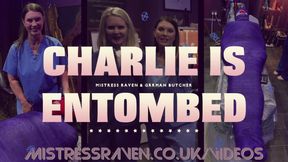 1163 Charlie is Entombed Full Fibre Glass BodyCasting