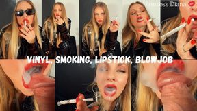 Vinyl, smoking, lipstick, blowjob WMV