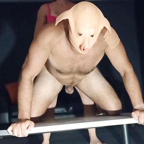 Fucking my ass pig with cable tied pig nuts