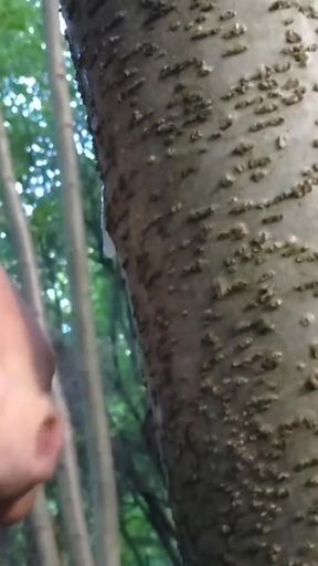 Stunning moment from &quot;Fuck, I couldn&#039;t hold back and came in the forest near the road.&quot;