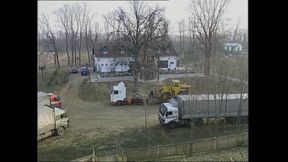 Pure Pussy Carnage: German Sluts Losing Control