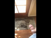 Small carpet pee by fan request