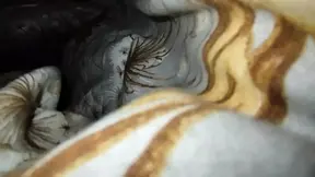 woke her up and come inside her warm tight pussy