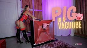PIG IN A VACUUBE feat ASTRODOMINA