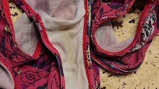 Cumming on sister-in-laws soiled underwear