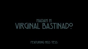 Madam M, Featuring Miss Tess & Virginal Bastinado