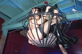 The Art of SeXXX!!! - vol #03