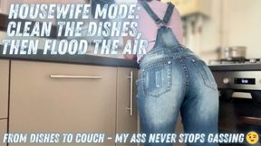 Housewife Mode: Clean the Dishes, Then Flood the Air - CUSTOM