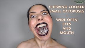 CHEWING COOKED SMALL OCTOPUSES - WIDE OPEN EYES AND MOUTH (Video request)