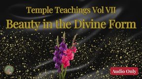 Temple Teachings Vol VII: Beauty in the Divine Form Audio Only