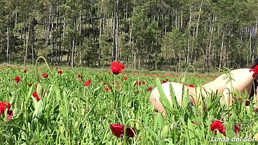 Entre amapolas... La Primavera la Altera