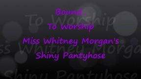 Bound To Worship Miss Whitney Morgan’s Shiny Pantyhose