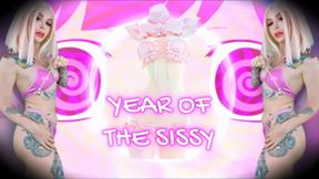 The year of sissification - with task