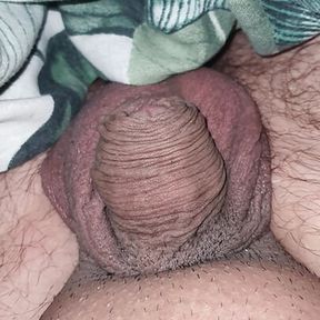 Woke up little cock !!!