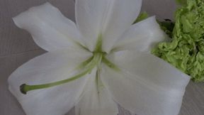 Many flowers were crushed b