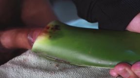 Jerking Off With Aloe Vera Ultil I Nut A Thick Load