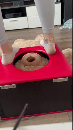 How much would you like to be the teddy bear in the box?