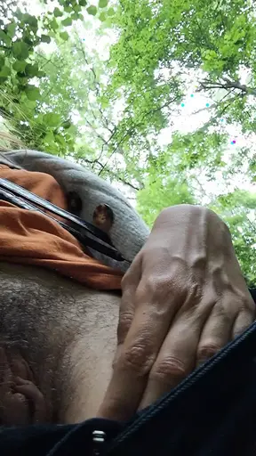 Pussy in the park