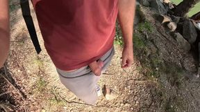 Surprise in the Foliage
