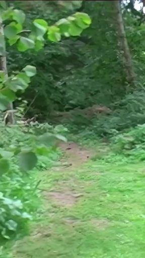 Scouse MILF Tia Layne Wants to Become a Dogging Slut so She Heads Into the Woods to Find Three Hung Strangers to Please