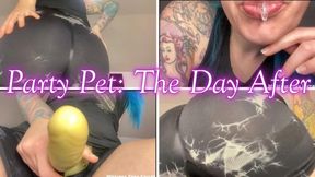 Party Pet, The Day After! mp4