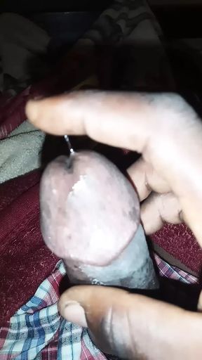 African Cobra Dick