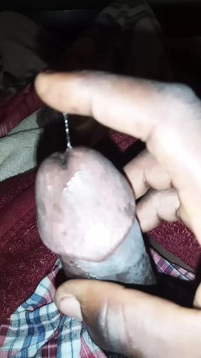 African Cobra Dick