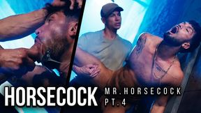 MR. HORSECOCK PT. 4