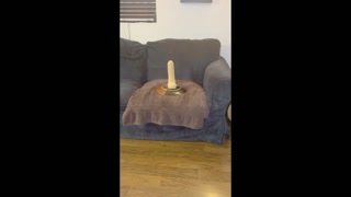 Slamming my Asshole Down on a Dick Until I Ejaculate