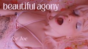 beautiful agony for joe