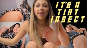 IS THAT AN INSECT? New Giantess Ava 1080