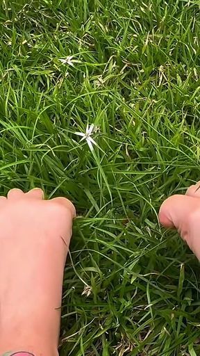I Let You See My Feet Rubbing and Pressing Against the Grass