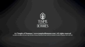 The Blessing of Black Cock