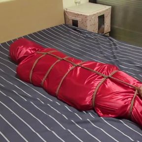 Pink Bed Sheets and Compression Bags