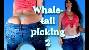 Whale Tail Picking 2