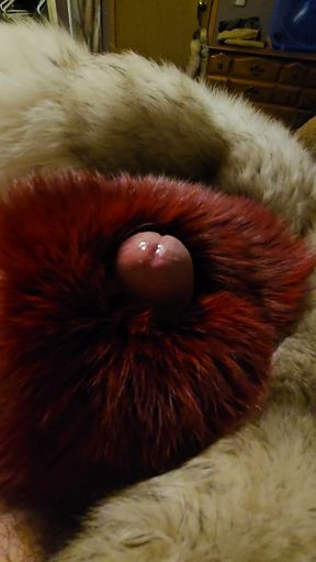 Fox furs make me hard