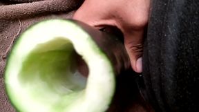 Jugando con un pepino '_, : 3