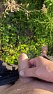 Taking a Piss in the yard