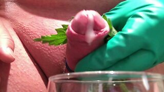 indoor stinging nettle with multiple cumshot