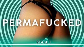 PERMAFUCKED: STAGE I