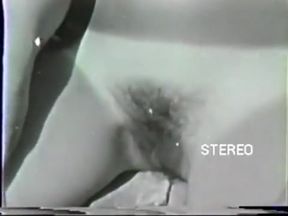 Vintage Sexy Hairy Nudists at Pool