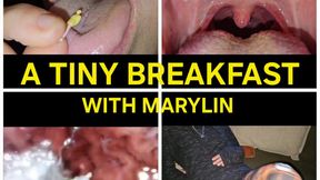 A Tiny For Breakfast