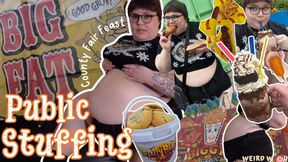My Public All Day County Fair Stuffing (Fat Chat + Vlog)