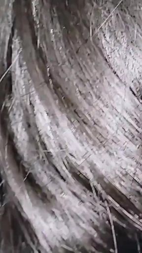 Hot Stepsister Cheated on her Boyfriend with her Stepbrother - Evesyantika69   Clip 1